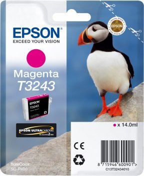 EPSON T3243 Magenta - obrázek produktu