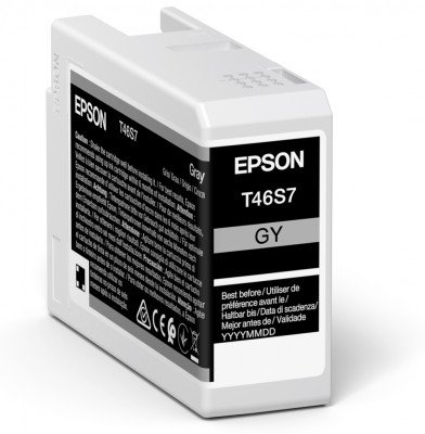 Epson Singlepack Gray T46S7 Ultrachrome - obrázek produktu
