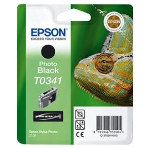 EPSON Ink ctrg černá pro Stylus Photo 2100(T0341) - obrázek produktu