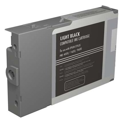 Epson T543 Light Black Ink Cartridge (110ml) - obrázek produktu