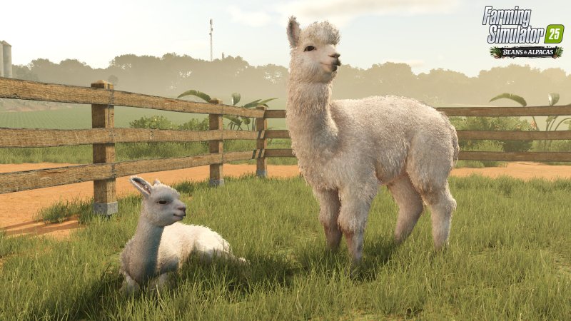 PC - Farming Simulator 25: Beans & Alpacas Edition - obrázek č. 1