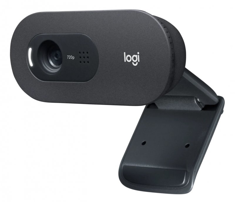 akce webcam Logitech HD Webcam C505 - obrázek č. 1