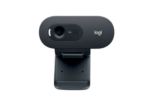 webová kamera Logitech HD Webcam C505 - obrázek produktu