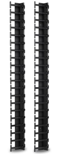 Vertical Cable Man. for NetShelter SX600mm Wide42U - obrázek produktu