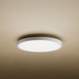 Xiaomi Mi Smart LED Ceiling Light D20  (63606)