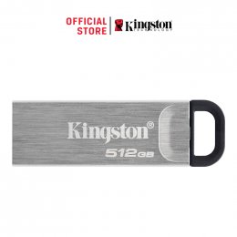 Kingston DataTraveler Kyson/ 512GB/ USB 3.2/ USB-A/ Stříbrná  (DTKN/512GB)