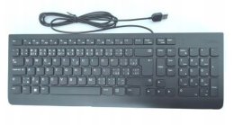 Lenovo Essential Wired Keyboard / Drátové USB-A / CZ / SK / Černá  (4Y41C68691)