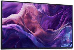 Dell / P2425HE / 23,8" / IPS / FHD / 100Hz / 5ms / Black NBD