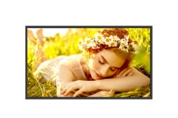 32" LG LED 32UL5 - FHD,500cd,VA,24 / 7  (32UL5Q-M.AEUQ)