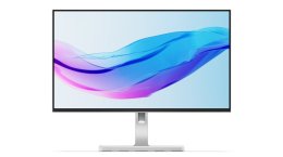 Lenovo / L24m-4A / 23,8" / IPS / FHD / 100Hz / 1ms / Gray