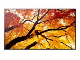 32" LED NEC M322,1920x1080,IPS,24 / 7,450cd  (PNM322)