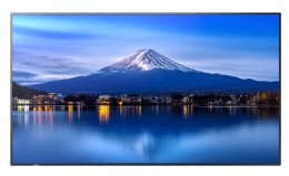 55" LED NEC P556,3840 x 2160,IPS,24 / 7,700cd  (60005916)