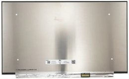 LCD PANEL 16,1" FHD 1920x1080 30PIN MATNÝ IPS  /  BEZ ÚCHYTŮ  (77043513)