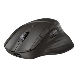 HP Ultra-Fast Scroll Wireless Mouse 785M EURO  (B8YX4AA#ABB)