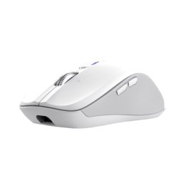 TRSUT FERRO MULTI-WIRELESS MOUSE WHT  (26403)