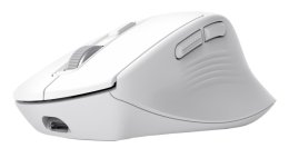 TRUSt NIVEN COMFORT MULTI-WRLS MOUSE WHT  (26022)
