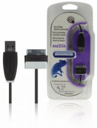 Synchronizační a Nabíjecí Kabel Samsung 30kolíkový Zástrčka - USB A Zástrčka 1.00 m Černá BBM39200B10  (BBM39200B10)