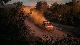 PS5 - EA Sports WRC  (5030949125163)