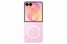 Samsung Průhledný kryt s magnetem pro Galaxy Z Flip8, Transparent