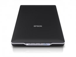 Epson Perfection V19, A4, 4800x4800 DPI, USB  (B11B231401)