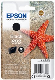 Epson singlepack, Black 603  (C13T03U14010)