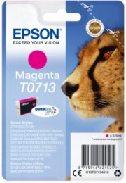 Epson Singlepack Magenta T0713 DURABrite Ultra Ink  (C13T07134012)