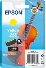 Epson Singlepack Yellow 250 ink  (C13T16N44010)