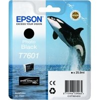 Epson T7601 Ink Cartridge Photo Black  (C13T76014010)