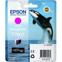 Epson T7603 Ink Cartridge Vivid Magenta  (C13T76034010)