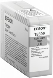 Epson Singlepack Photo Light Light Black T850900 UltraChrome HD ink 80ml  (C13T850900)