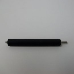 Platen Kit TT 12 dots/ mm (300 dpi) ZD420  (P1080383-016)